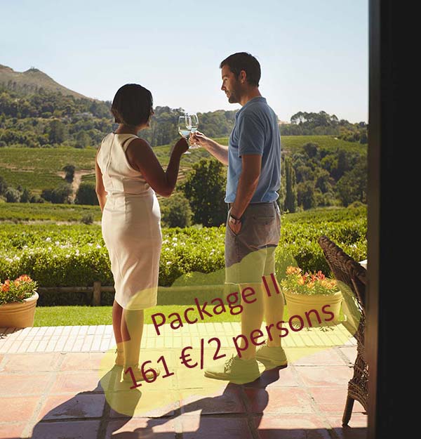 villaaina-special-offers-3-1
